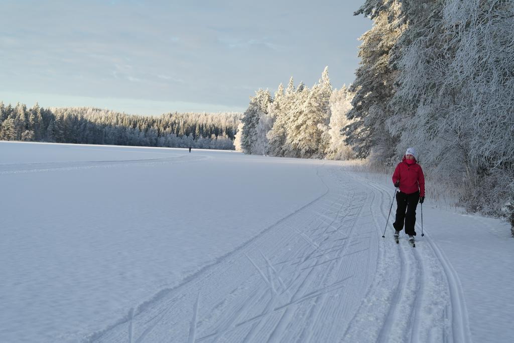 Huvilaranta Villas Isojarvi Luaran gambar